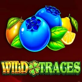 Enjoy Wild Traces by Amusnet Interactive – logo hosted on faircrown-casino.eu